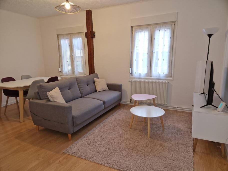 Appartement Le Grillenbreit Colmar Eksteriør billede